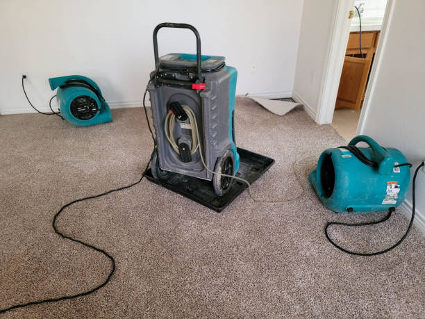 Best Fire Damage Restoration  in Lodi, NJ