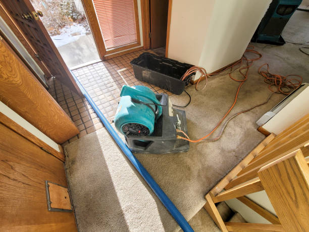 Best Flood restoration services  in Lodi, NJ