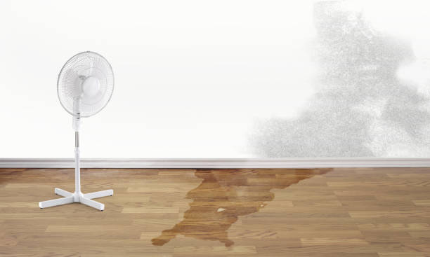 Water damage restoration experts in NJ