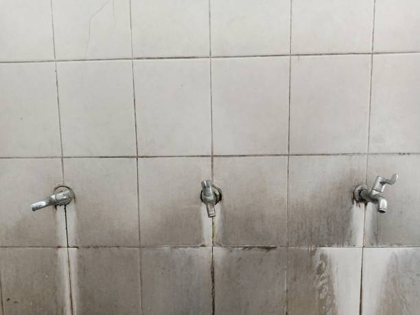  Lodi, NJ Water damage restoration Pros