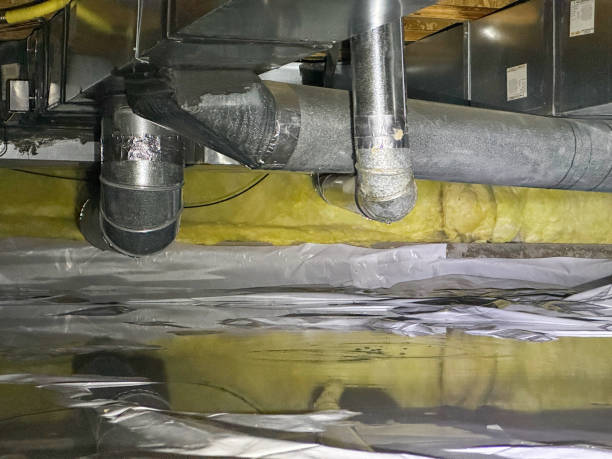 Best Water damage restoration near me  in Lodi, NJ