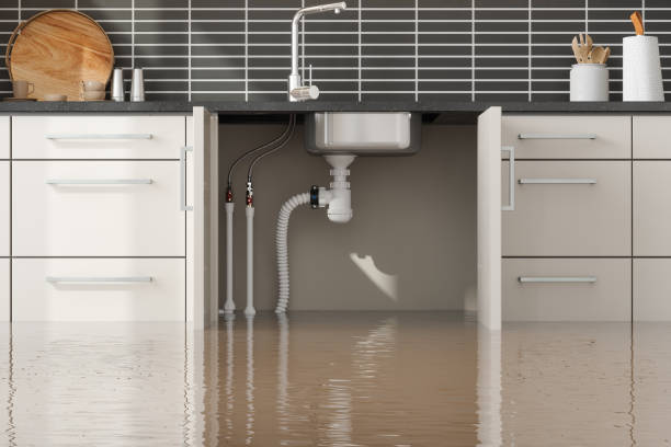 Best Carpet water damage restoration  in Lodi, NJ