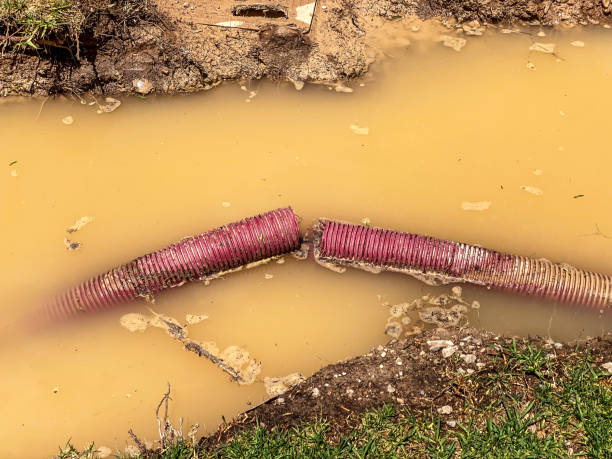 Best Water damage restoration experts  in Lodi, NJ