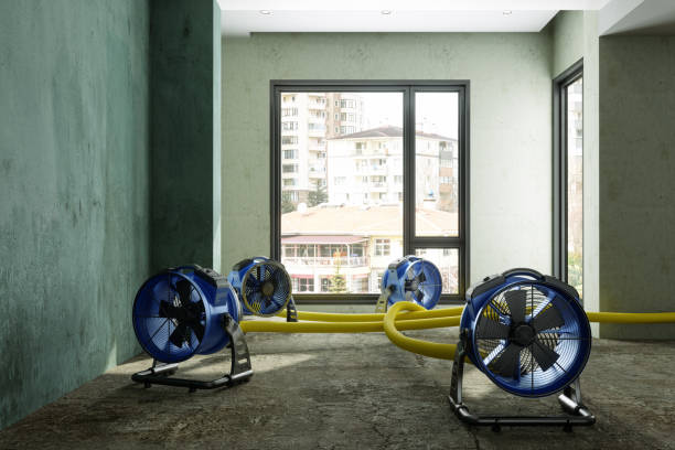 Best Professional water damage repair  in Lodi, NJ