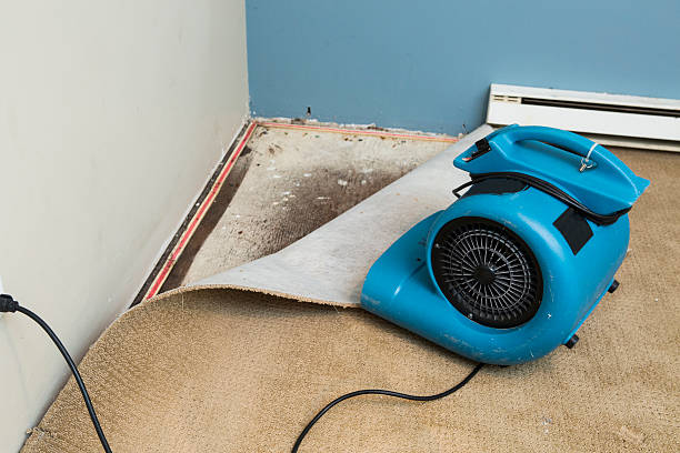 Best Ceiling water damage repair  in Lodi, NJ